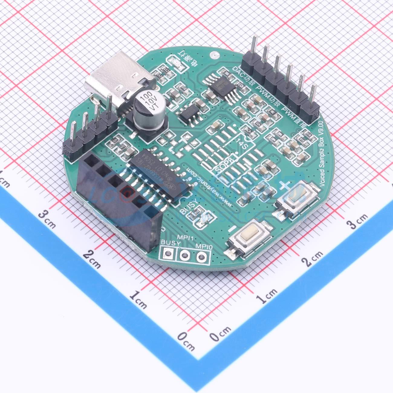 Bo mạch phát triển Voiced Sanple Box V9.00 WT - Techcore Việt Nam