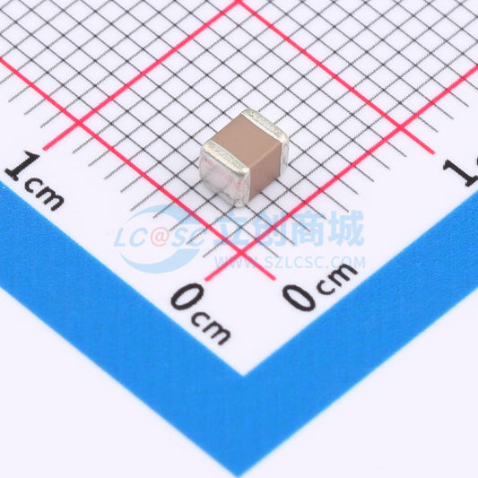 Linh kiện điện tử FS32X225K101EGG PSA 1210 - Techcore Việt Nam