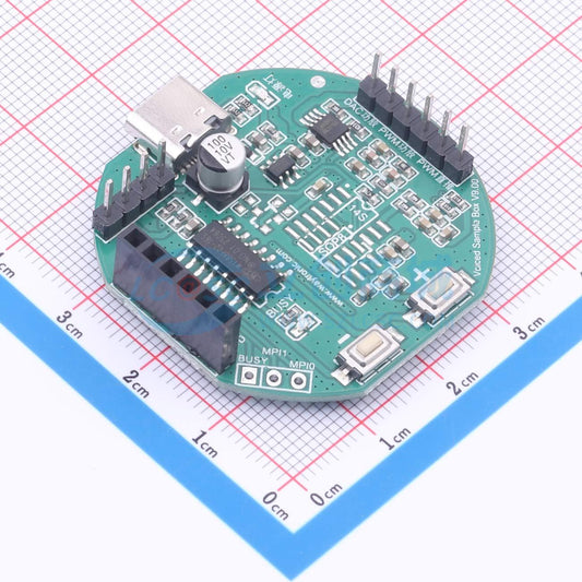 Bo mạch phát triển Voiced Sanple Box V9.00 WT - Techcore Việt Nam