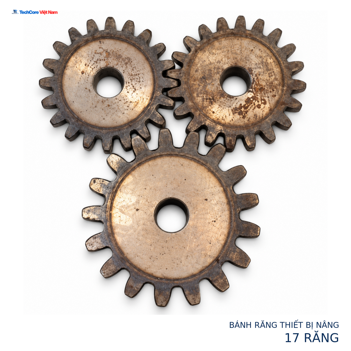 Ảnh chính nền trắng 1500 × 1500, sản phẩm 145