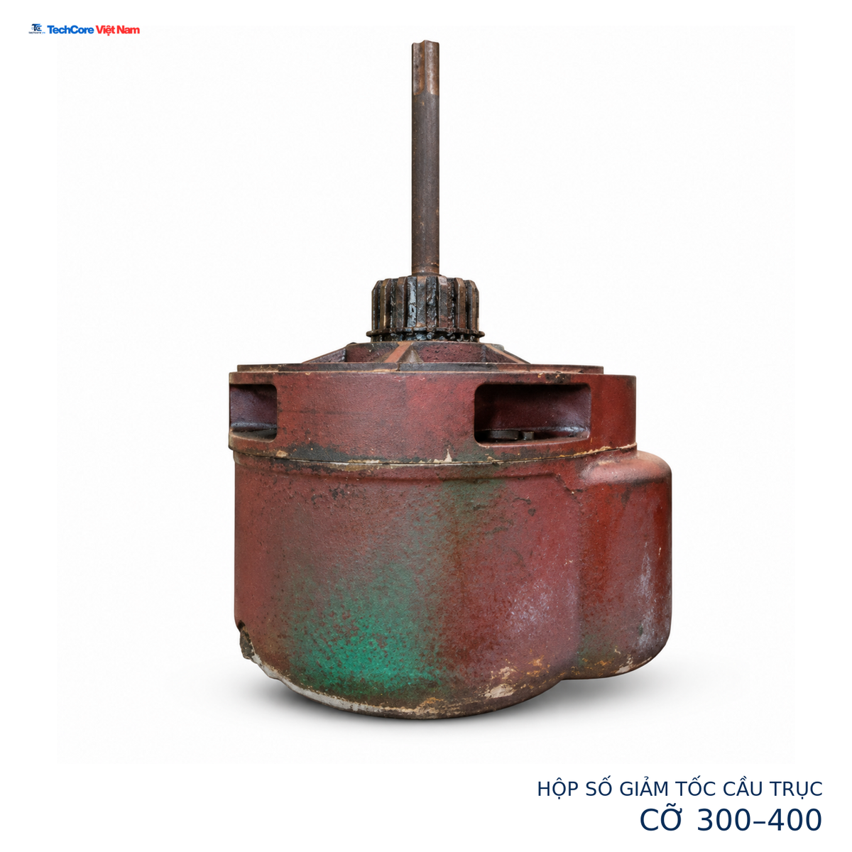 Ảnh chính nền trắng 1500 × 1500, sản phẩm 156